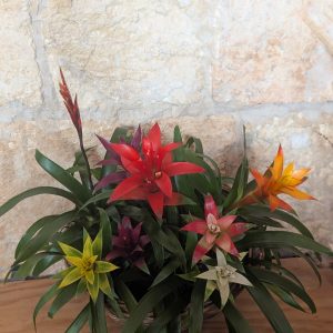 image13